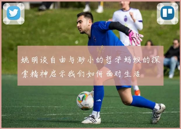 姚明谈自由与渺小的哲学蚂蚁的探索精神启示我们如何面对生活