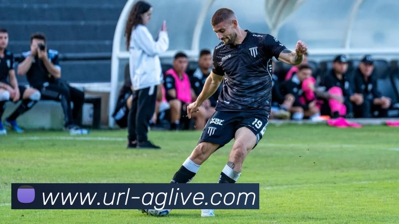 AG娱乐平台生态图